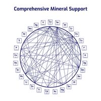  Totum Sport Electrolytes - Hypertonic Drink